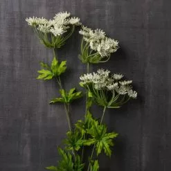 Flash Sale ✨ 12 Pack: White Queen Anne's Lace Spray by Ashland® ✨ -Ashland Online Store MP461649 22