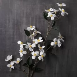 Coupon 🔔 12 Pack: White Mini Dogwood Stem by Ashland® 👏 -Ashland Online Store MP461654 22