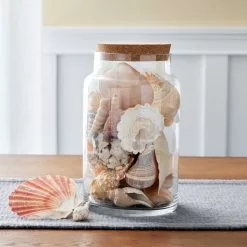 Discount ⌛ 12 Pack: 9" Terrarium Jar with Cork by Ashland® ⌛ -Ashland Online Store MP466880 20