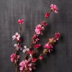 Discount 😍 12 Pack: Pink Peach Blossom Stem by Ashland® ⭐ -Ashland Online Store MP468899 22