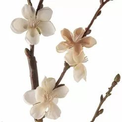 Buy ❤️ 12 Pack: Cream Peach Blossom Stem by Ashland® 😉 -Ashland Online Store MP468902 20