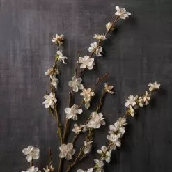 Buy ❤️ 12 Pack: Cream Peach Blossom Stem by Ashland® 😉 -Ashland Online Store MP468902 22