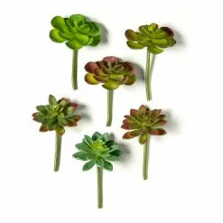 Discount ✔️ 12 Pack: Assorted Snap-On Succulent Pick by Ashland® 👏 -Ashland Online Store MP482105 21