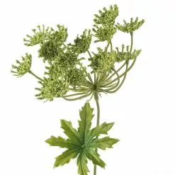 New ๐ 12 Pack: Light Green Queen Anne's Lace Spray by Ashland® ๐ 9 New ๐ 12 Pack: Light Green Queen Anne's Lace Spray by Ashland® ๐ -Ashland Online Store MP501462 20