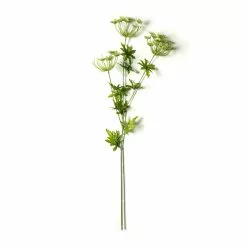 New ๐ 12 Pack: Light Green Queen Anne's Lace Spray by Ashland® ๐ 8 New ๐ 12 Pack: Light Green Queen Anne's Lace Spray by Ashland® ๐ -Ashland Online Store MP501462 21
