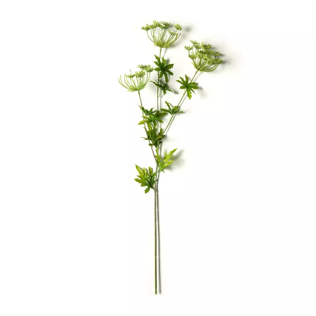 New ๐ 12 Pack: Light Green Queen Anne's Lace Spray by Ashland® ๐ 5 New ๐ 12 Pack: Light Green Queen Anne's Lace Spray by Ashland® ๐ - Image 3