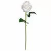Best reviews of ✔️ 12 Pack: White Faux Rose by Ashland® ✨ -Ashland Online Store MP501466 1