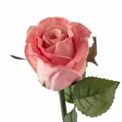 Best reviews of 🔥 12 Pack: Light Pink Faux Rose by Ashland® 🌟 -Ashland Online Store MP501467 20