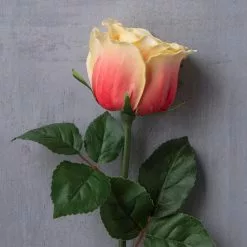 Cheapest 🤩 12 Pack: Coral Faux Rose by Ashland® 😍 -Ashland Online Store MP501469 22