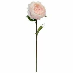 Hot Sale 🌟 12 Pack: Light Pink King Peony Stem by Ashland® 🌟
