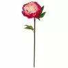 Best reviews of 👍 12 Pack: Fuchsia King Peony Stem by Ashland® ❤️