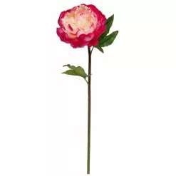 Best reviews of 👍 12 Pack: Fuchsia King Peony Stem by Ashland® ❤️