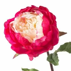 Best reviews of 👍 12 Pack: Fuchsia King Peony Stem by Ashland® ❤️ -Ashland Online Store MP501483 20