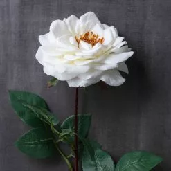 Cheapest ๐ 12 Pack: White Orlane Rose Stem by Ashland® ๐ 9 Cheapest ๐ 12 Pack: White Orlane Rose Stem by Ashland® ๐ -Ashland Online Store MP501485 22