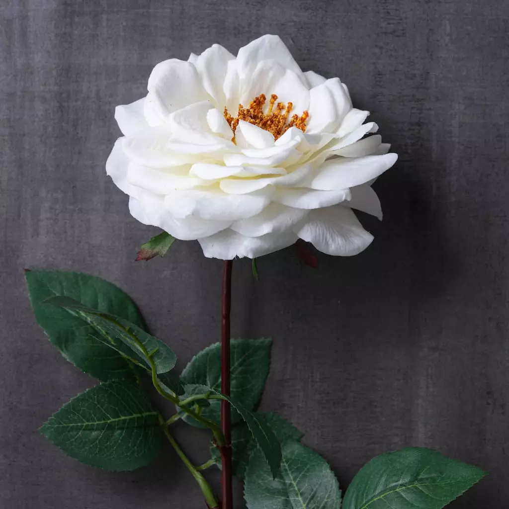 Cheapest ๐ 12 Pack: White Orlane Rose Stem by Ashland® ๐ 6 Cheapest ๐ 12 Pack: White Orlane Rose Stem by Ashland® ๐ - Image 4