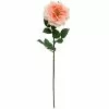 Flash Sale 👍 12 Pack: Coral Orlane Rose Stem by Ashland® ❤️ -Ashland Online Store MP501486 1