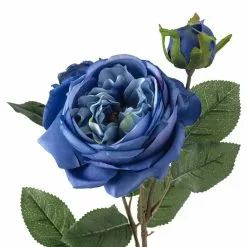 Budget 🛒 12 Pack: Blue English Rose Stem by Ashland® 😀 -Ashland Online Store MP501503 20