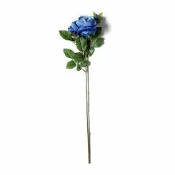 Budget 🛒 12 Pack: Blue English Rose Stem by Ashland® 😀 -Ashland Online Store MP501503 21