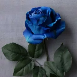 Promo 🎉 12 Pack: Royal Blue Rose Stem by Ashland® ❤️ -Ashland Online Store MP501505 22