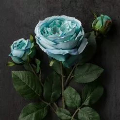 Coupon 🤩 12 Pack: Teal English Rose Stem by Ashland® 👍 -Ashland Online Store MP501506 22