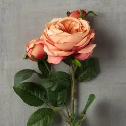 Best Sale ❤️ 12 Pack: Pink Coral English Rose Stem by Ashland® ✨ -Ashland Online Store MP501509 25