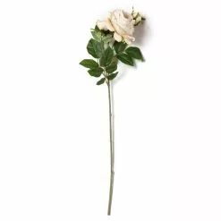 Outlet ❤️ 12 Pack: Toast English Rose Stem by Ashland® 🛒 -Ashland Online Store MP501510 21