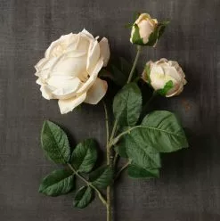 Outlet ❤️ 12 Pack: Toast English Rose Stem by Ashland® 🛒 -Ashland Online Store MP501510 25