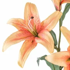 Best reviews of ⌛ 12 Pack: Flame Casablanca Lily Stem by Ashland® 🤩 -Ashland Online Store MP501957 20