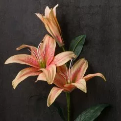 Best reviews of ⌛ 12 Pack: Flame Casablanca Lily Stem by Ashland® 🤩 -Ashland Online Store MP501957 22