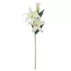 Best Pirce ✨ 12 Pack: White Casablanca Lily Stem by Ashland® 🛒