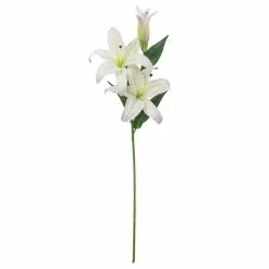 Best Pirce ✨ 12 Pack: White Casablanca Lily Stem by Ashland® 🛒