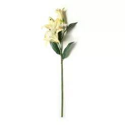 Best Pirce ✨ 12 Pack: White Casablanca Lily Stem by Ashland® 🛒 -Ashland Online Store MP501958 21