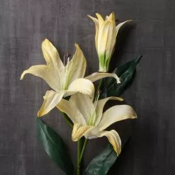 Best Pirce ✨ 12 Pack: White Casablanca Lily Stem by Ashland® 🛒 -Ashland Online Store MP501958 22