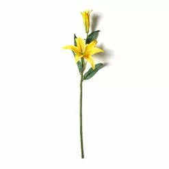 Cheap 🔥 12 Pack: Yellow Casablanca Lily Stem by Ashland® ⭐ -Ashland Online Store MP501959 21