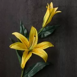 Cheap 🔥 12 Pack: Yellow Casablanca Lily Stem by Ashland® ⭐ -Ashland Online Store MP501959 22