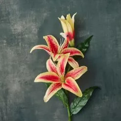 Budget 🎁 12 Pack: Hot Pink Casablanca Lily Stem by Ashland® 😍 -Ashland Online Store MP501960 20