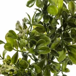 Coupon 🔥 24 Pack: Green Boxwood Pick by Ashland® 🔔 -Ashland Online Store MP546920 20