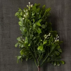 Coupon 🔥 24 Pack: Green Boxwood Pick by Ashland® 🔔 -Ashland Online Store MP546920 25