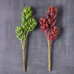 Flash Sale ⌛ 24 Pack: Assorted 3 Head Succulent Pick by Ashland® 🤩 -Ashland Online Store MP546921 22