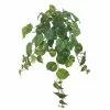 Deals ⌛ 12 Pack: Hanging Philo Bush by Ashland® ⭐ -Ashland Online Store MP547222 1