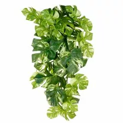 Best deal ❤️ 12 Pack: Split Hanging Philo Bush by Ashland® 🤩