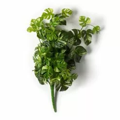 Best deal ❤️ 12 Pack: Split Hanging Philo Bush by Ashland® 🤩 9 Best deal ❤️ 12 Pack: Split Hanging Philo Bush by Ashland® 🤩 -Ashland Online Store MP547223 21