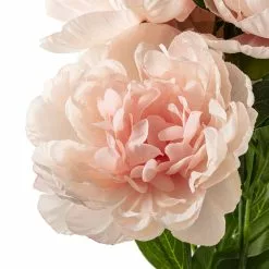 Deals 🔥 12 Pack: Coral Peony Bush by Ashland® 🔥 -Ashland Online Store MP547347 20