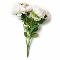 Cheapest ๐ฏ 12 Pack: Cream Peony Bush by Ashland® โ 11 Cheapest ๐ฏ 12 Pack: Cream Peony Bush by Ashland® โ -Ashland Online Store MP547348 21