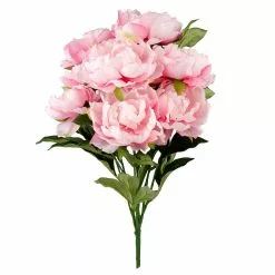 Best deal ✨ 12 Pack: Pink Peony Bush by Ashland® ❤️