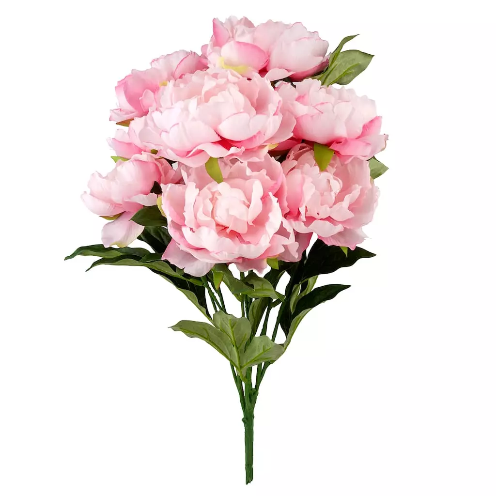 Best deal ✨ 12 Pack: Pink Peony Bush by Ashland® ❤️ 3 Best deal ✨ 12 Pack: Pink Peony Bush by Ashland® ❤️