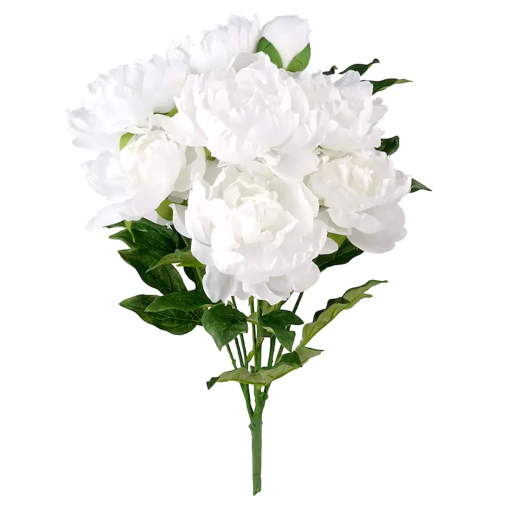 New ❤️ 12 Pack: White Peony Bush by Ashland® 🔥 3 New ❤️ 12 Pack: White Peony Bush by Ashland® 🔥