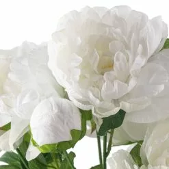 New ❤️ 12 Pack: White Peony Bush by Ashland® 🔥 10 New ❤️ 12 Pack: White Peony Bush by Ashland® 🔥 -Ashland Online Store MP547350 20