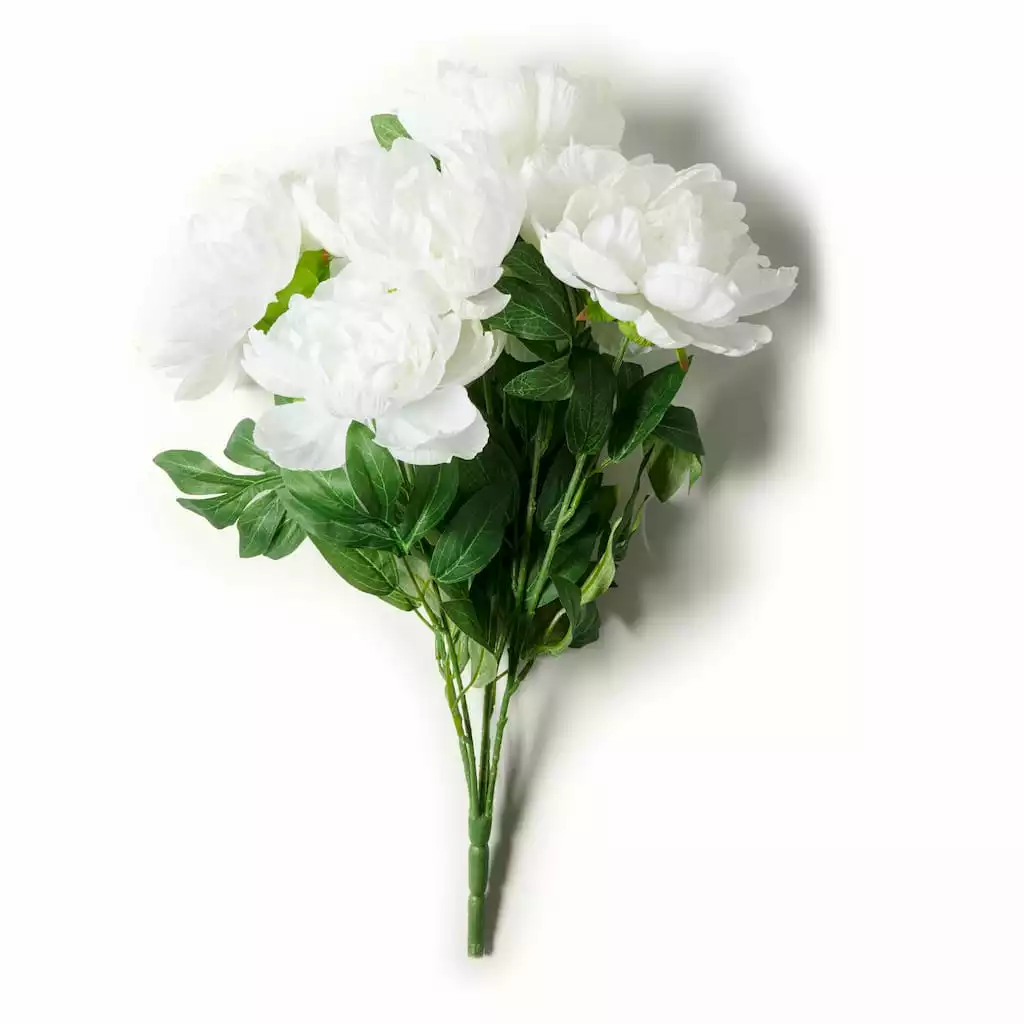 New ❤️ 12 Pack: White Peony Bush by Ashland® 🔥 7 New ❤️ 12 Pack: White Peony Bush by Ashland® 🔥 - Image 5
