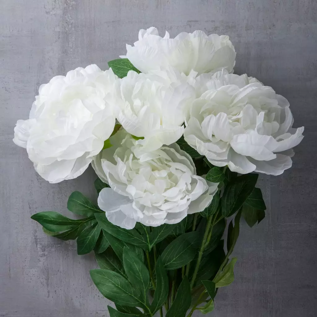 New ❤️ 12 Pack: White Peony Bush by Ashland® 🔥 5 New ❤️ 12 Pack: White Peony Bush by Ashland® 🔥 - Image 3